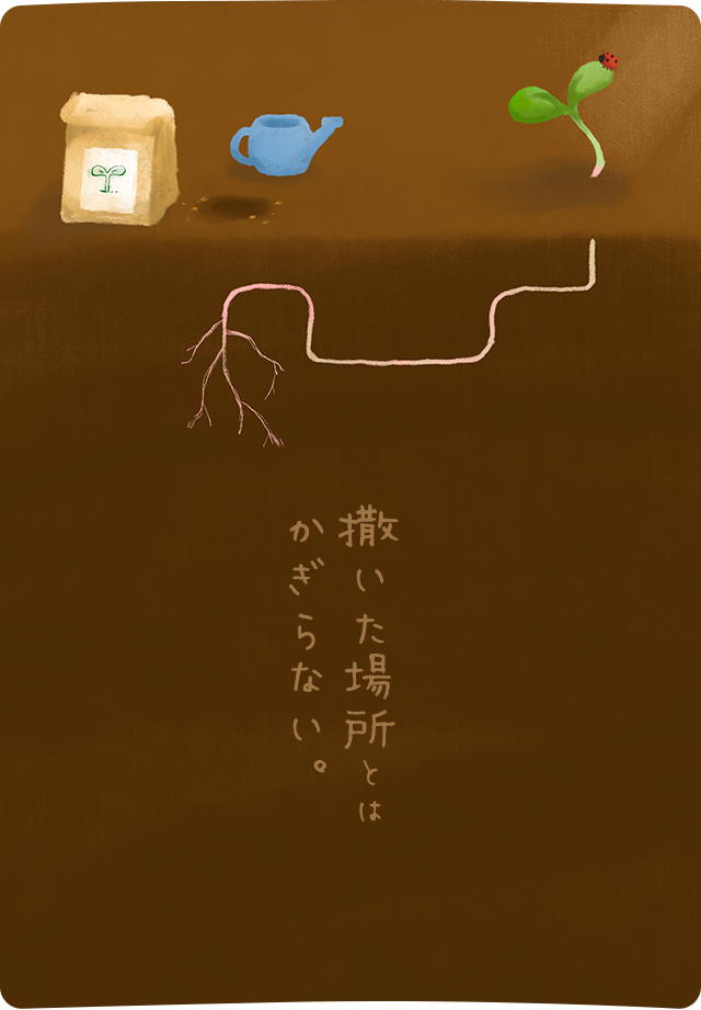 撒いた場所とは限らない。
